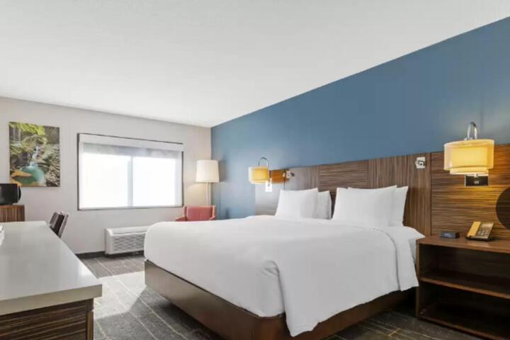 1 King Bed (2 of 18)
