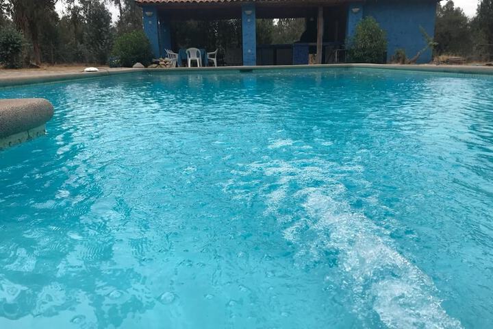Pool 31 of 49