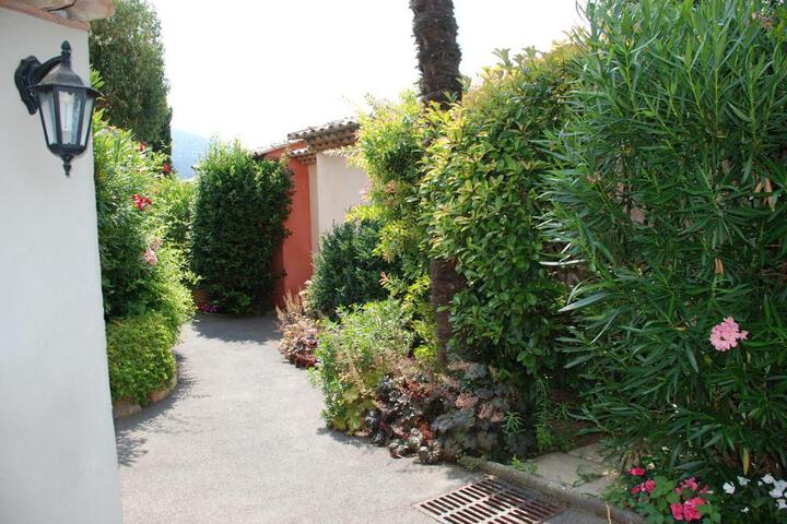 Photo 6