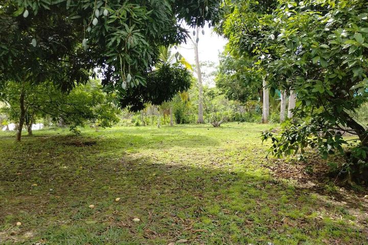 Property Grounds 11 of 11