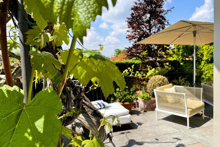 Terrace/Patio 28 of 64
