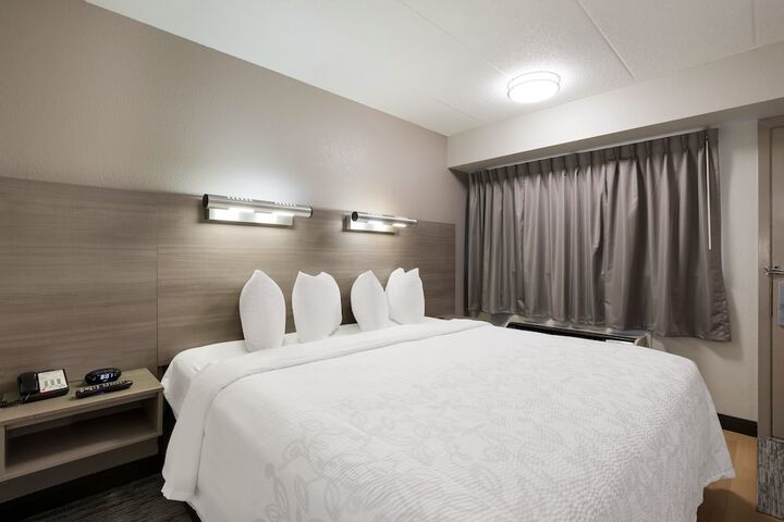 Standard | King Bed (3 of 18)