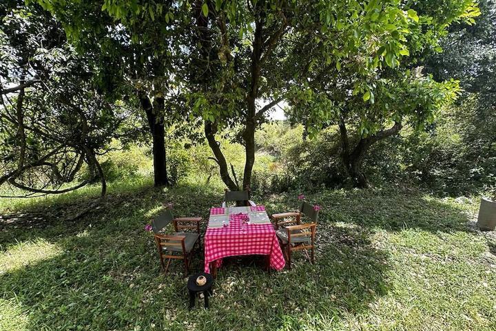 Dining 97 of 155