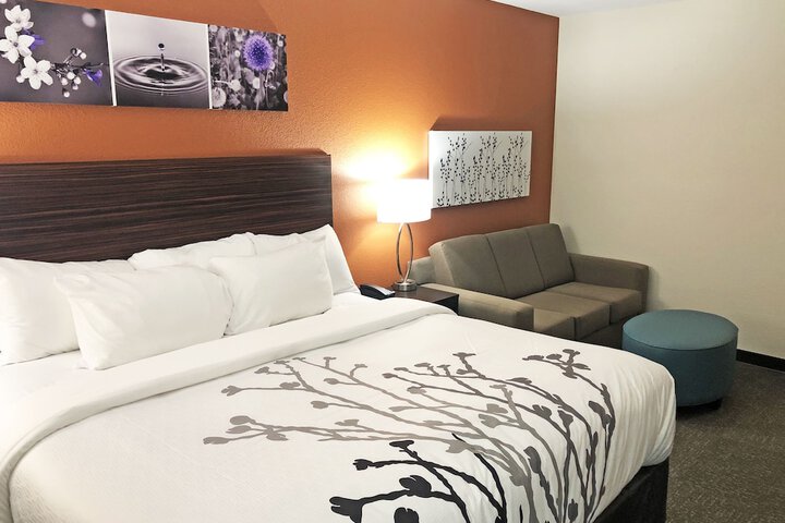 1 King Bed Accessible (10 of 14)