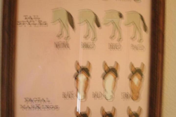 Photo 33