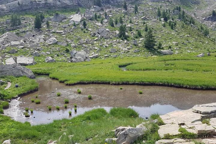 Photo 14