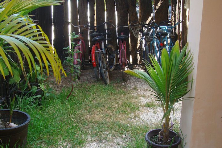 Outdoor Activities 19 of 35