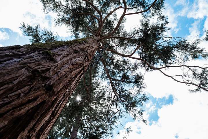 Property Grounds 25 of 28