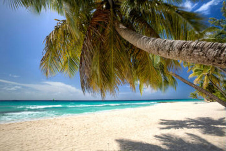 Beach 29 of 124