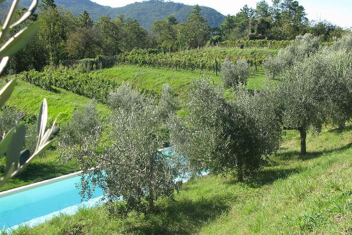 Pools & Facilities