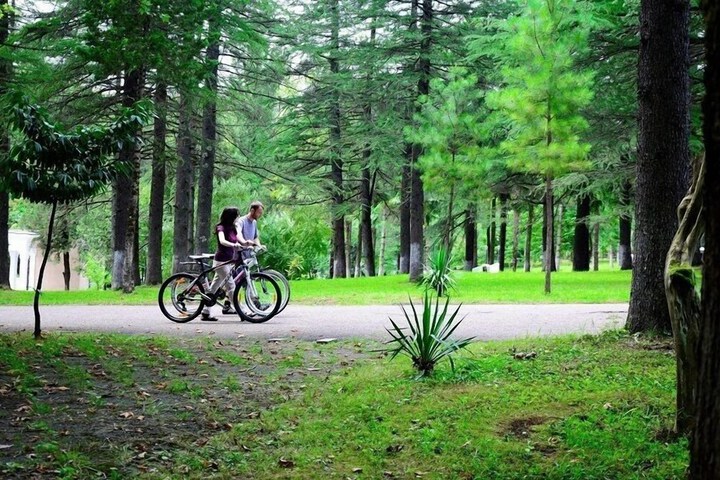 Outdoor Activities 19 of 43