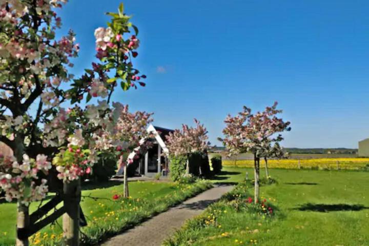 Hotelhuisje Warmenhuizen #D