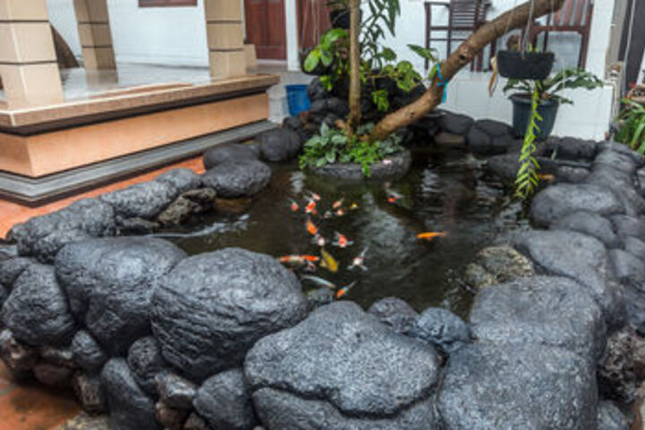 Spa and Wellness Pictures