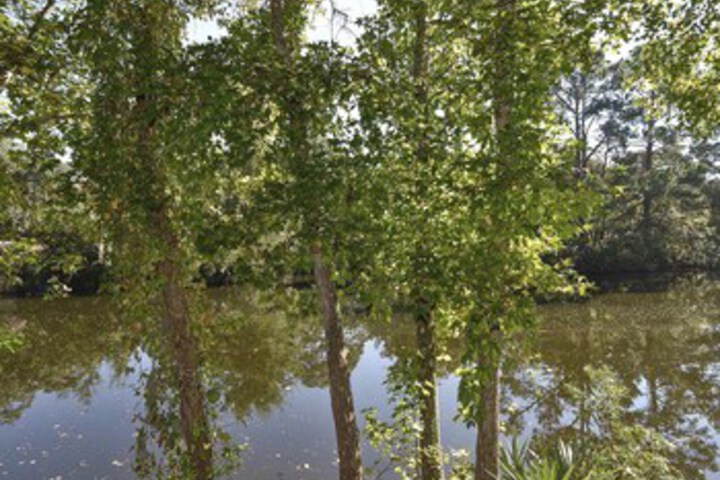 Property Grounds 30 of 41