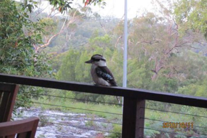 Property Grounds 3 of 23