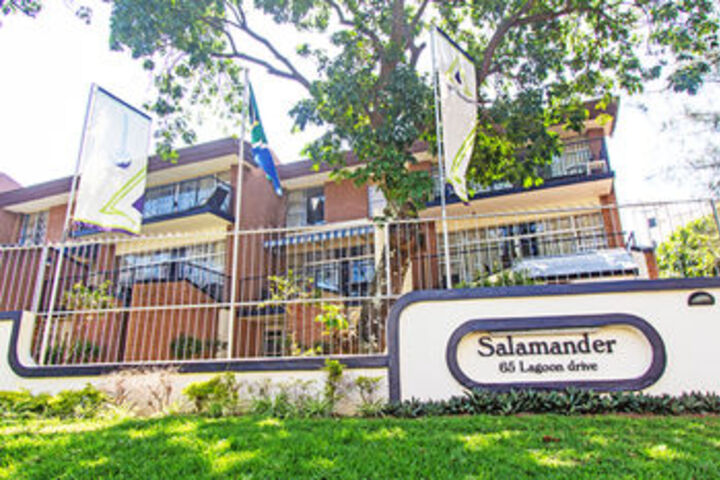 Salamander in uMhlanga