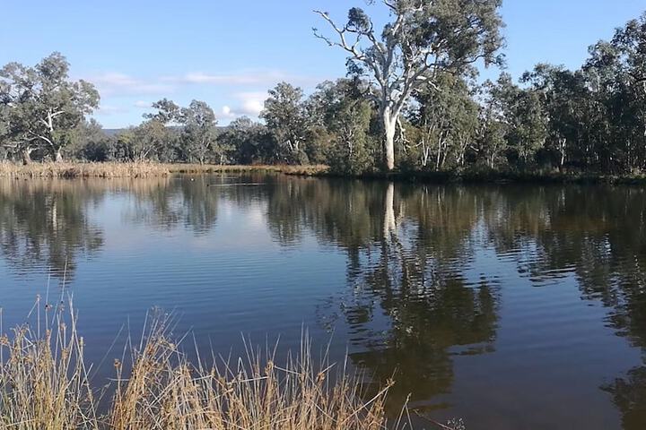 Property Grounds 37 of 58