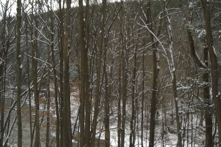 Property Grounds 26 of 37
