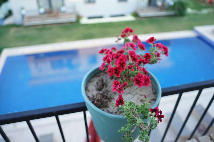 Terrace/Patio 96 of 139
