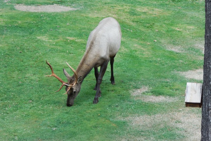 Property Grounds 84 of 99