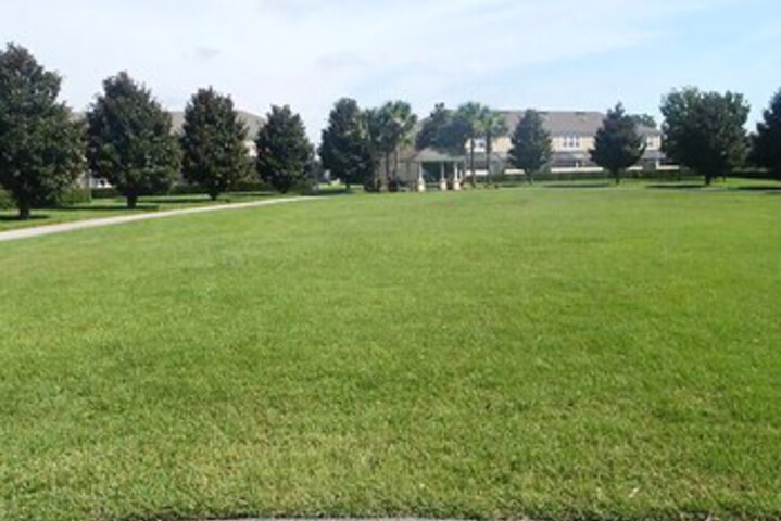 Property Grounds 38 of 51