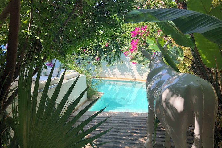 Pool to Cool