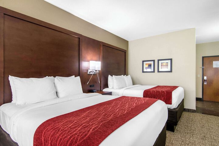 2 Queen Beds (5 of 12)