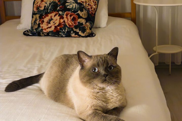 Pet Friendly 95 of 122