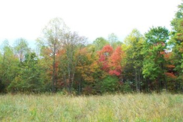 Property Grounds 18 of 32
