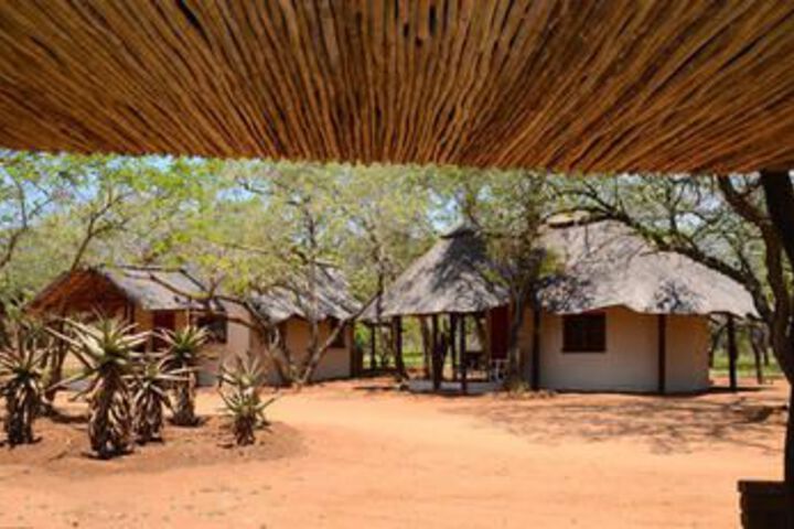 Wild Dogs Safari Lodge