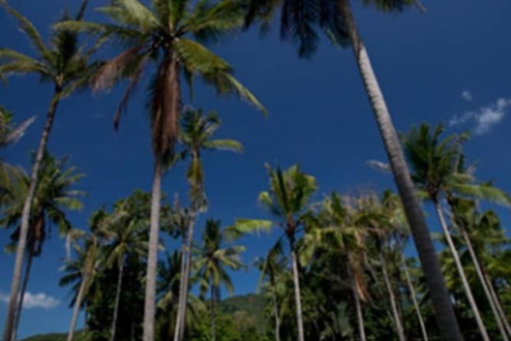 Outside Photo
