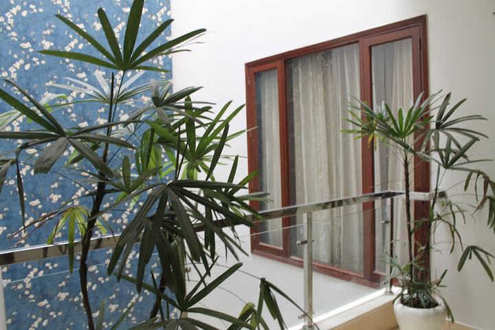 Terrace/Patio 22 of 36