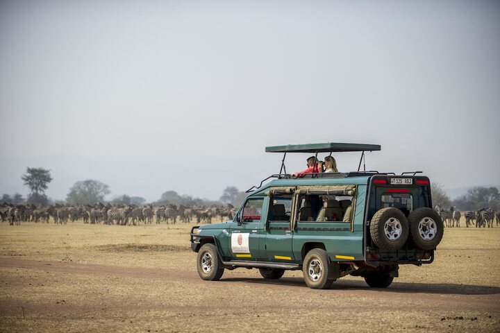 Game drive