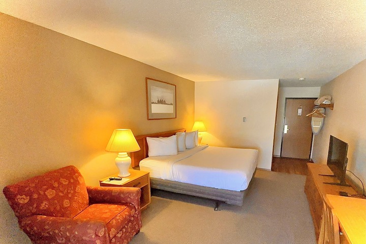 Standard King Bed Pet Friendly (11 of 15)
