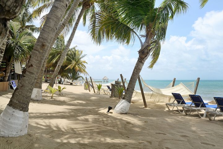 Beach 60 of 68