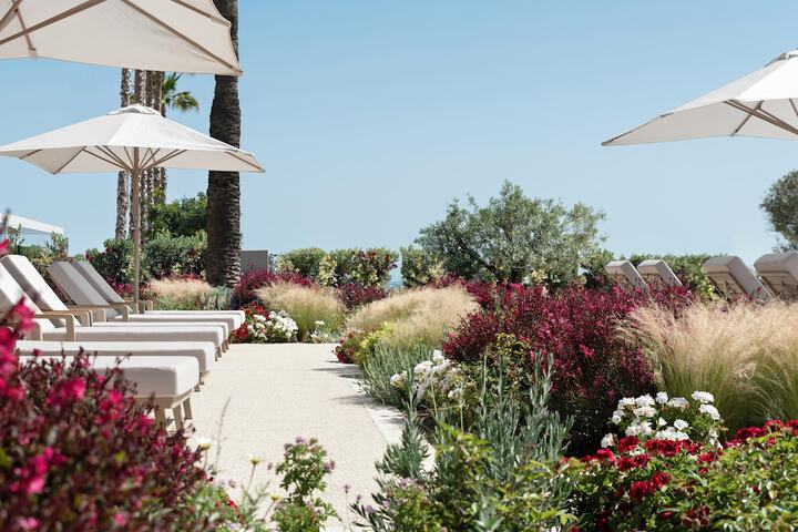 Terrace/Patio 555 of 578