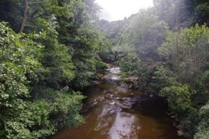 Photo 14