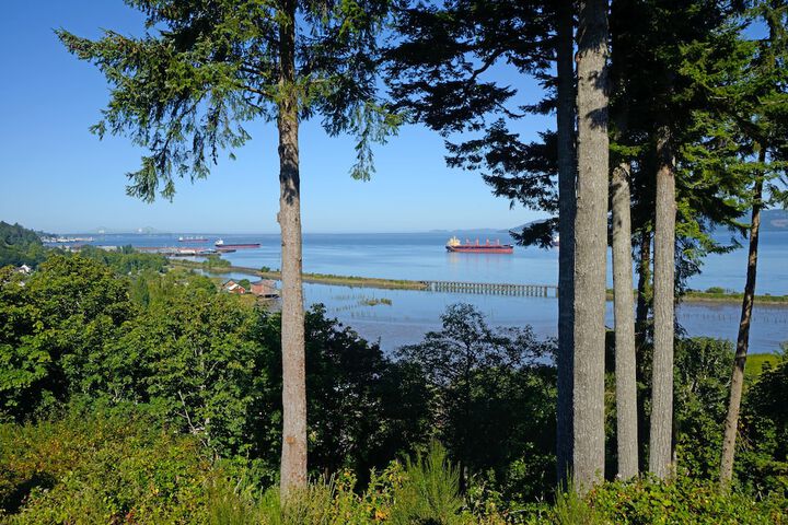 View from property