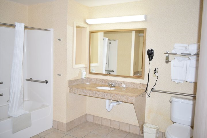 1 King Bed Studio Suite (12 of 23)