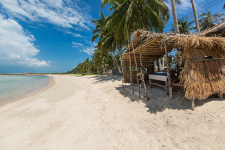 Beach or Ocean View