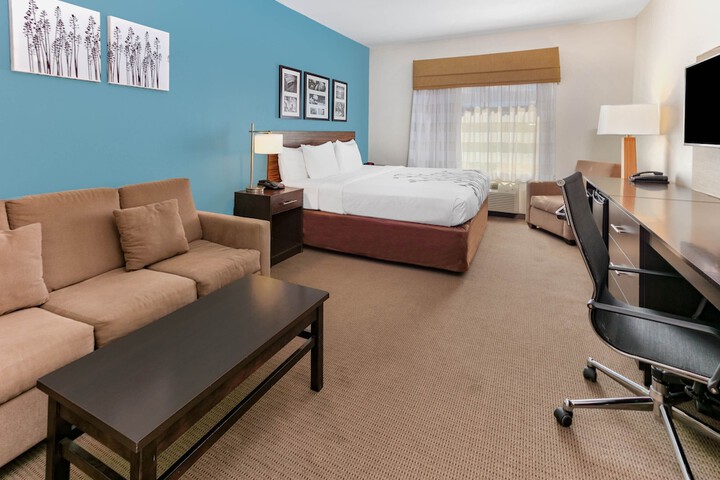 1 King Bed Deluxe Mobility Accessible Suite Roll in Shower (7 of 8)