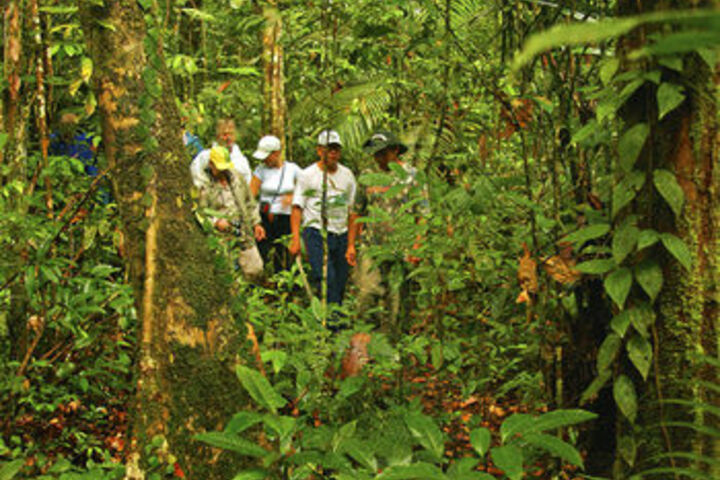 Outdoor Activities 15 of 26