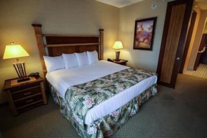 Suite Room