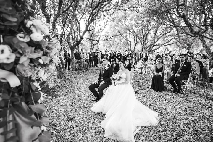 Wedding/Banquet 36 of 45