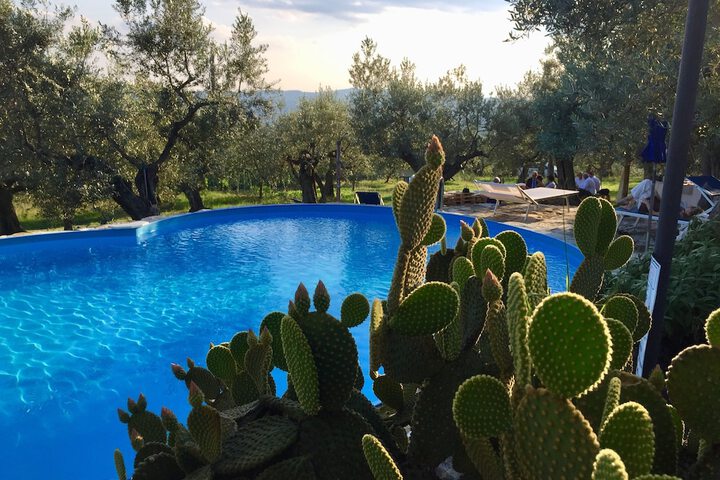 Pool 34 of 71