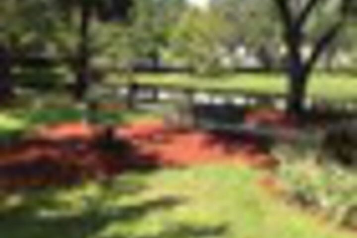 Property Grounds 140 of 159