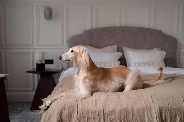 Pet Friendly 98 of 122