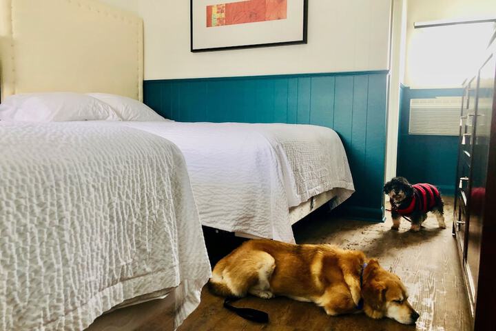 Room 10 of 47