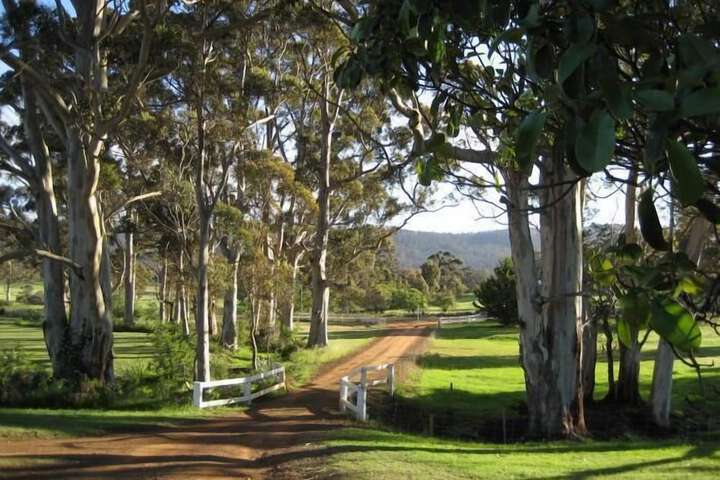 Property Grounds 43 of 56