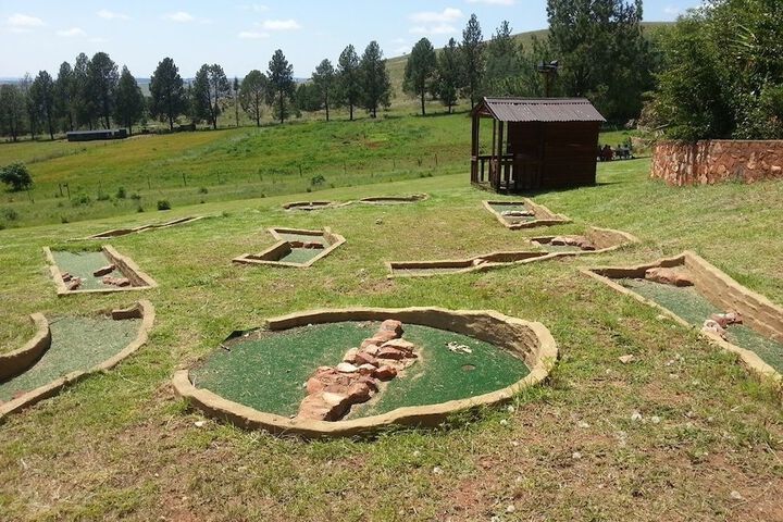 Mini-golf